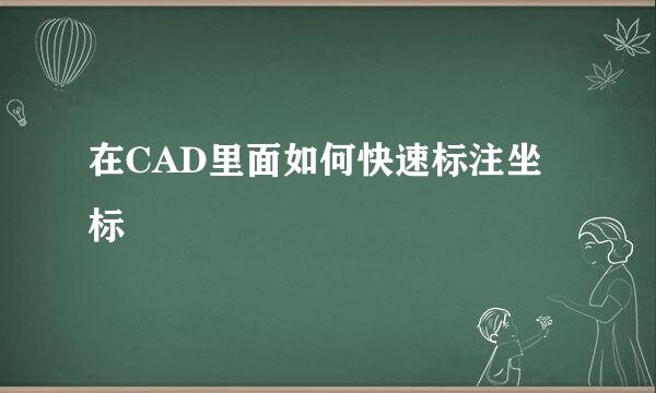 在CAD里面如何快速标注坐标