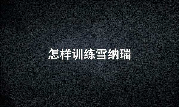 怎样训练雪纳瑞