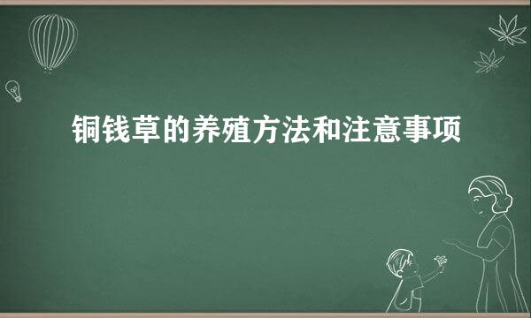 铜钱草的养殖方法和注意事项