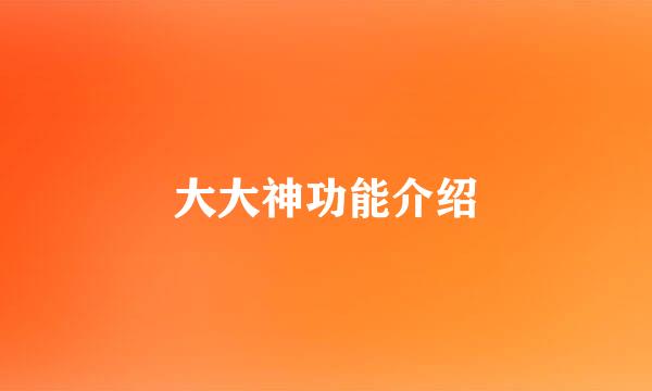 大大神功能介绍
