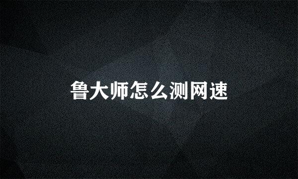 鲁大师怎么测网速