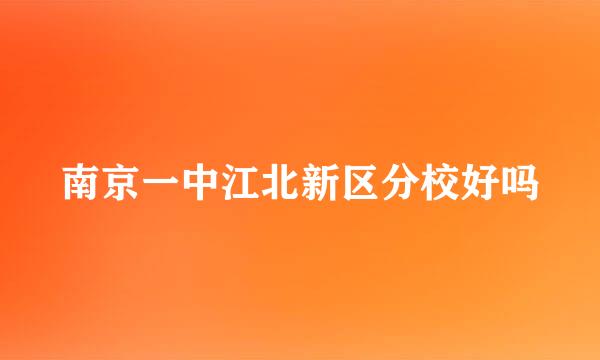 南京一中江北新区分校好吗