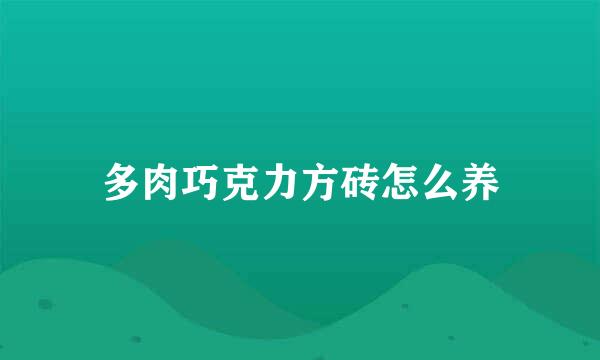 多肉巧克力方砖怎么养