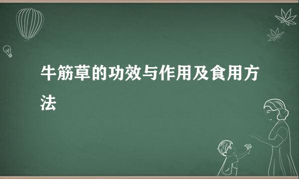 牛筋草的功效与作用及食用方法