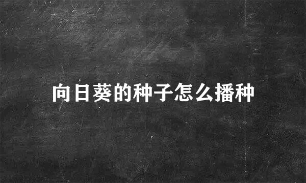 向日葵的种子怎么播种