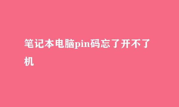 笔记本电脑pin码忘了开不了机