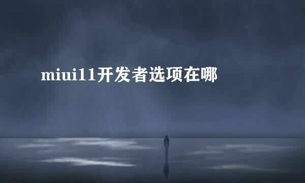 miui11开发者选项在哪