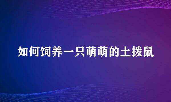 如何饲养一只萌萌的土拨鼠