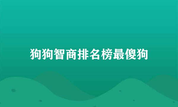 狗狗智商排名榜最傻狗