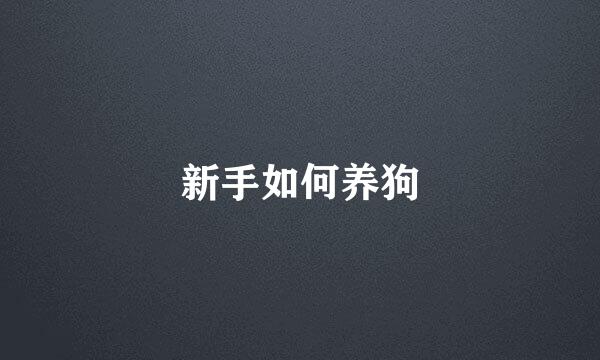 新手如何养狗