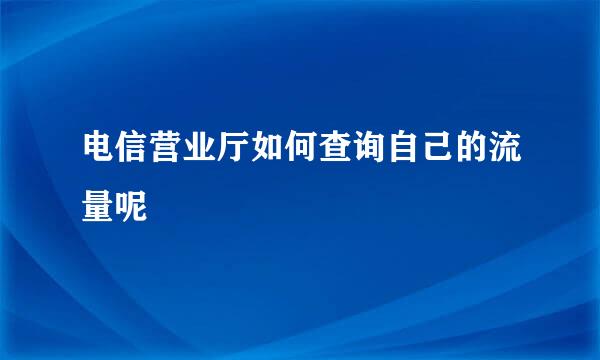 电信营业厅如何查询自己的流量呢