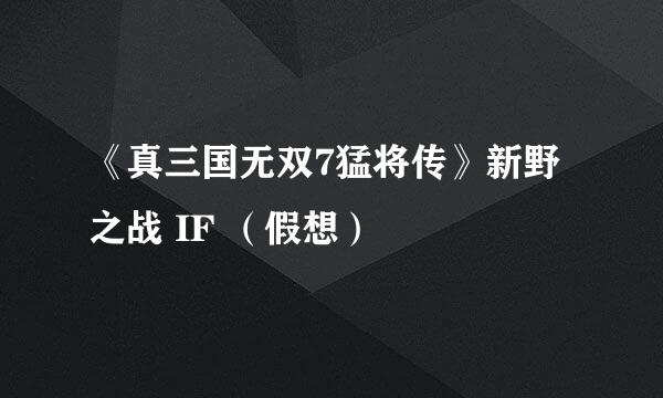 《真三国无双7猛将传》新野之战 IF （假想）