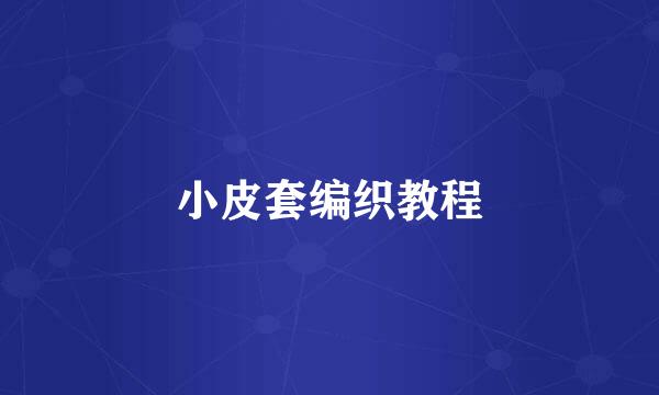 小皮套编织教程