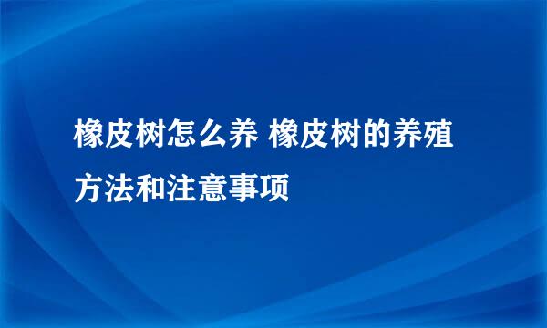 橡皮树怎么养 橡皮树的养殖方法和注意事项