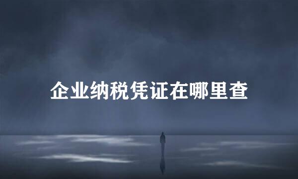 企业纳税凭证在哪里查