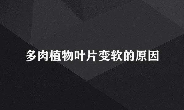 多肉植物叶片变软的原因