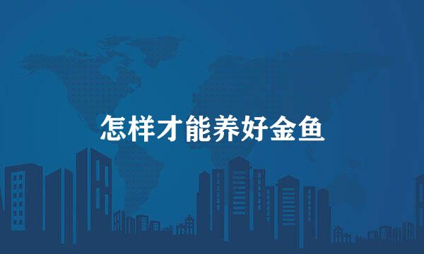 怎样才能养好金鱼