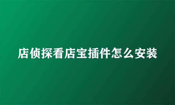 店侦探看店宝插件怎么安装