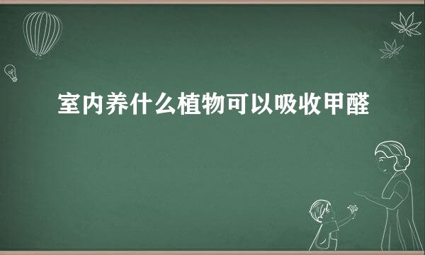 室内养什么植物可以吸收甲醛
