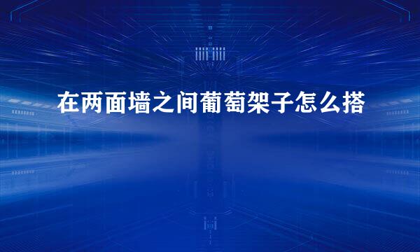 在两面墙之间葡萄架子怎么搭