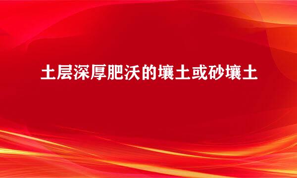土层深厚肥沃的壤土或砂壤土