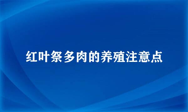 红叶祭多肉的养殖注意点