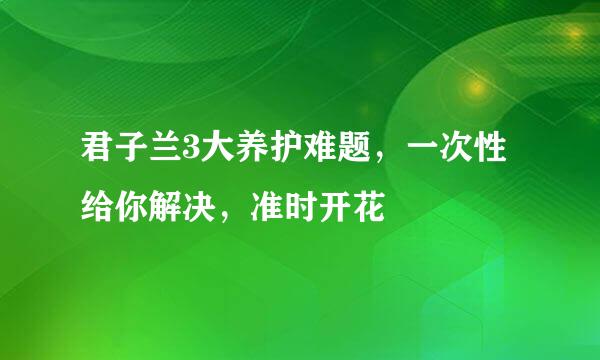 君子兰3大养护难题，一次性给你解决，准时开花