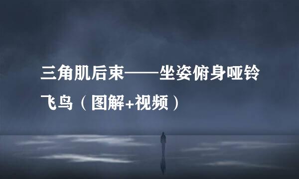 三角肌后束——坐姿俯身哑铃飞鸟（图解+视频）