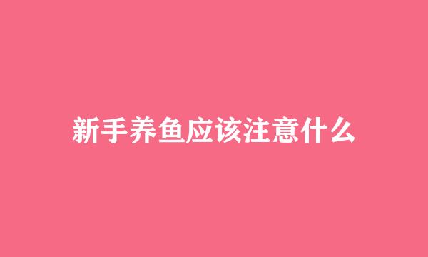 新手养鱼应该注意什么