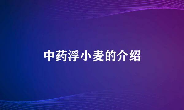 中药浮小麦的介绍