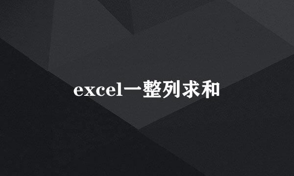 excel一整列求和