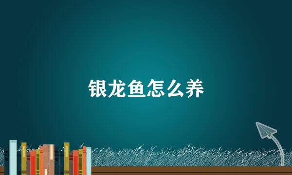 银龙鱼怎么养