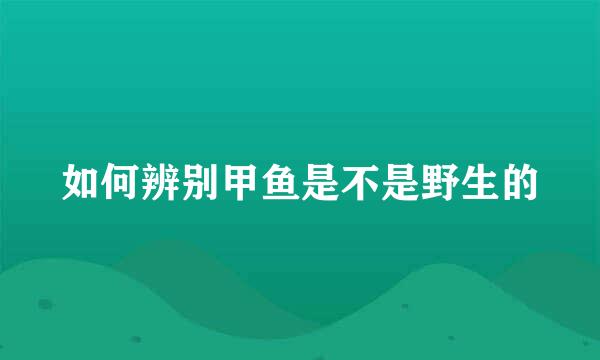 如何辨别甲鱼是不是野生的