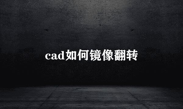 cad如何镜像翻转