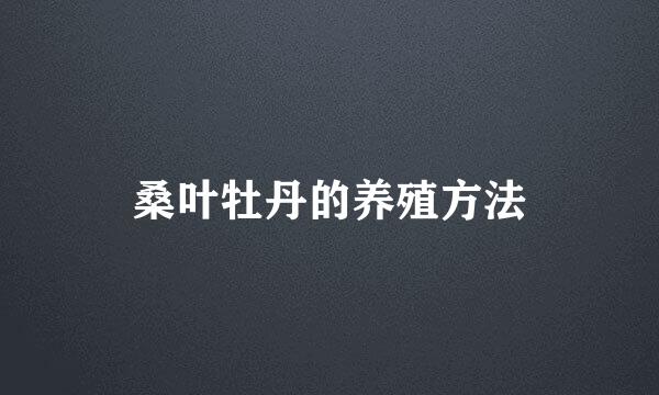 桑叶牡丹的养殖方法