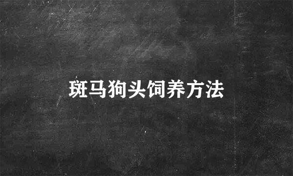 斑马狗头饲养方法