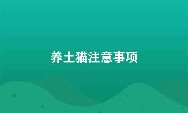 养土猫注意事项