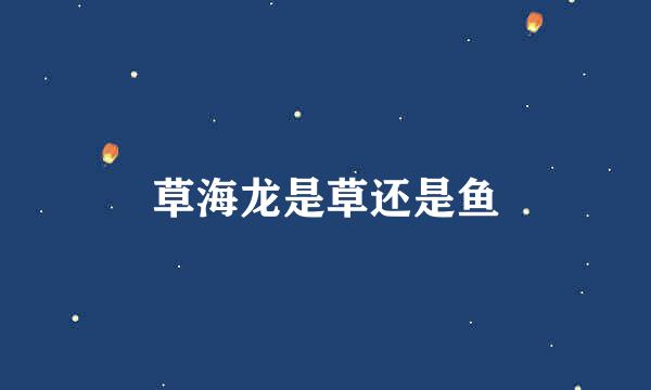 草海龙是草还是鱼