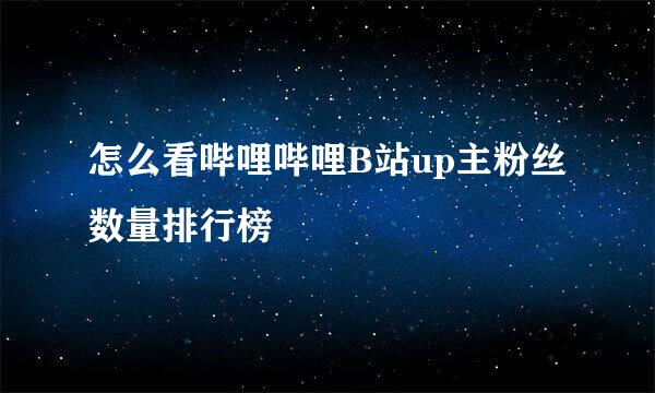 怎么看哔哩哔哩B站up主粉丝数量排行榜
