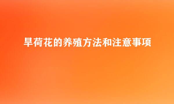 旱荷花的养殖方法和注意事项