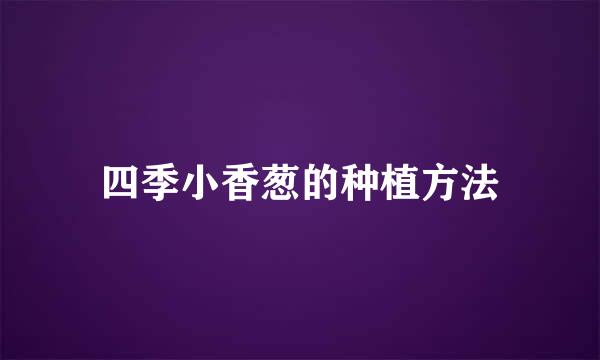 四季小香葱的种植方法