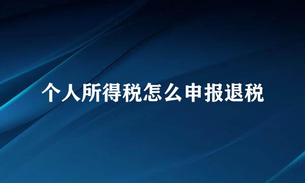 个人所得税怎么申报退税