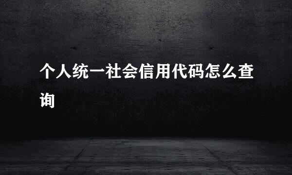 个人统一社会信用代码怎么查询