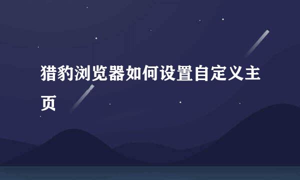 猎豹浏览器如何设置自定义主页