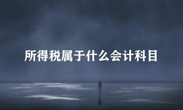 所得税属于什么会计科目