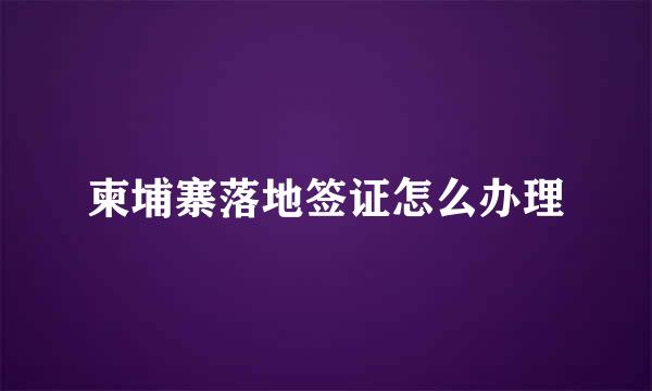 柬埔寨落地签证怎么办理