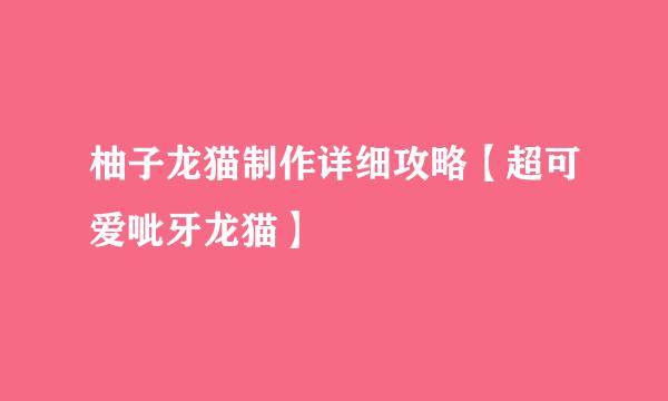 柚子龙猫制作详细攻略【超可爱呲牙龙猫】