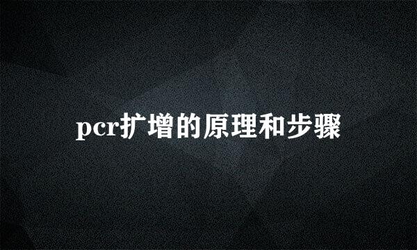 pcr扩增的原理和步骤
