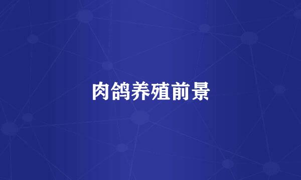 肉鸽养殖前景