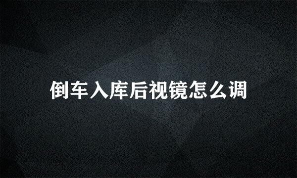 倒车入库后视镜怎么调
